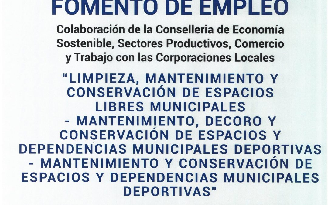 PROGRAMA DE FOMENTO DE EMPLEO