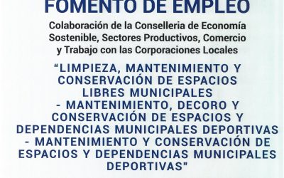 PROGRAMA DE FOMENTO DE EMPLEO